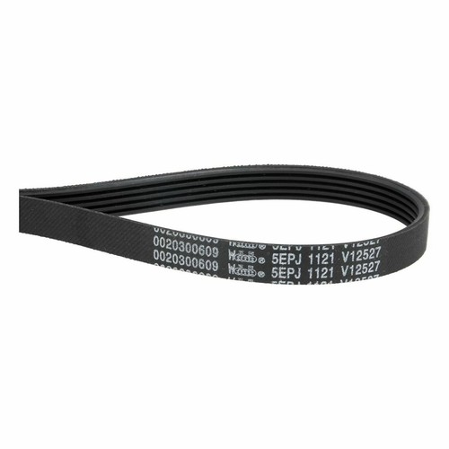 Courroie 1121pj5e compatible - 1121pj5e,