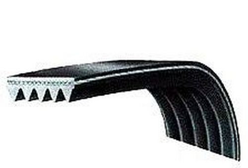 Pj1161 courroie optibelt - pj1161, optibelt-rb